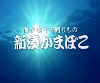 【ポイント10倍/お買い物マラソン】新湊かまぼこ　高砂・松　【結婚式/引出物/引き出物/かまぼこ/蒲鉾/富山/名産/伝統/贈り物/お祝い/富山のかまぼこ】【thxgd_18】 2