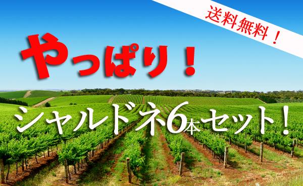 【送料無料】やっぱり!シャルドネセット! ワインセット カリフォルニアワイン 白ワイン【※クール便は+390円別途請求】