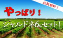 【送料無料！】やっぱり！シャルドネセット！ ワインセット カリフォルニアワイン 白ワイン【※クール便は+390円別途請求】