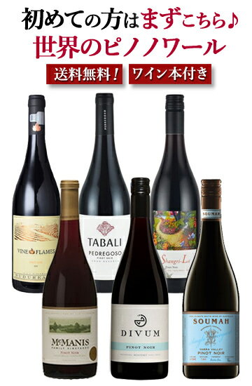 【 送料無料 】【 ワイン本付き 】 産地別 ワイン6本セット ワインセット ワイン セット 6本セット ワインギフトセット 高級ワイン 赤 ピノノワール ピノ・ノワール