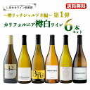 第1弾【送料無料】 カリフォルニア