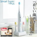 電動歯ブラシ 充電式 音波歯ブラシ 送料無料 スマートソニック プラス Smart Sonic +Plus 電動歯ぶらし 歯磨き はみがき 歯みがき音波歯ぶらし 電動はぶらし ハブラシ プレゼント あす楽