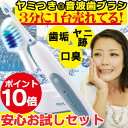 電動歯ブラシ 音波式歯ブラシ 送料無料 スマートソニック 音...