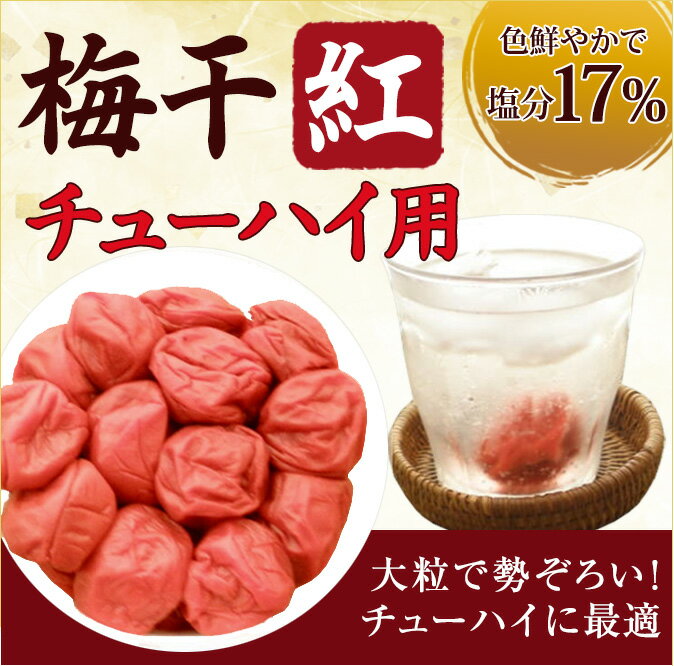 【賞味2020/07/05のためアウトレット！！】JA紀南紀州産　梅干　紅チューハイ用塩分約17%520g