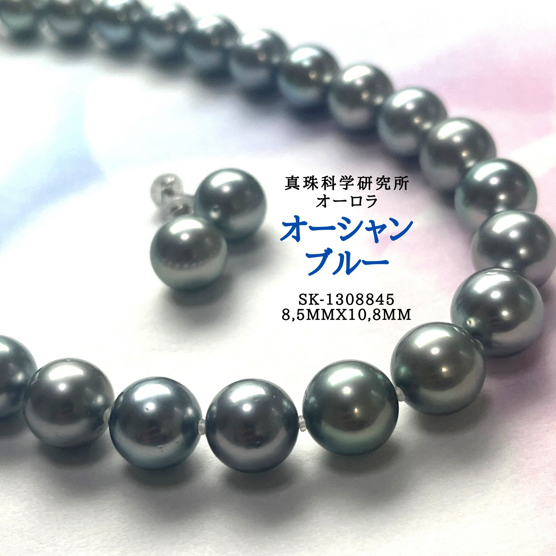 ̵ͥ饪֥롼8.5mmx10,8mm SET ʳظꡡץʥ֥å֥롼ĳ졼