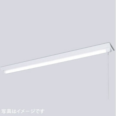 IWASAKI ŵLEDioc (ǥå) LED١饤 (LED˥åȰη)40W ٻη 150mm䡡FLR40 2000lm 1 (ץ륹å)ELV42001CNPPN9