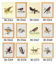 フレメ 初心者 クロスステッチ 刺しゅう キット 【 小鳥 】 Haandarbejdets Fremme デンマーク 北欧 輸入 30-5561 30-556...