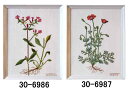 Haandarbejdets Fremme フレメ クロスステッチ 刺繍 キット 手芸 【 ナデシコ / ケシ 】 北欧 デンマーク ギルド 上級者 輸入 花 ...