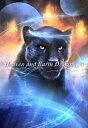 クロスステッチ図案 チャート HAED 手芸 上級者 【パンサー】 Mini Panther PS