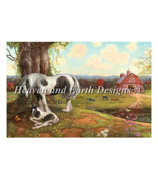 Heaven And Earth Designs クロスステッチ刺繍図案 輸入 HAED 上級者 Ruth Sanderson 牧場で眠る仔馬 A..