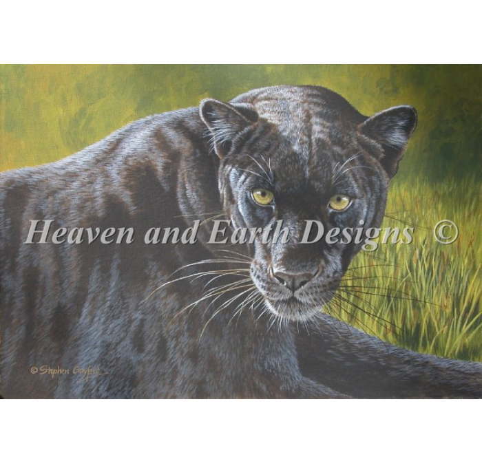 Heaven And Earth Designs クロスステッチ刺繍図案 HAED 輸入 上級者 Stephen Gayford 黒の魔術 Black ..