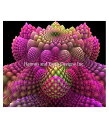 Heaven And Earth Designs クロスステッチ刺繍図案 HAED 輸入 上級者 HAED Originals フラクタル Fractal 4 ...