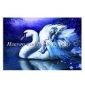Heaven And Earth Designs クロスステッチ刺繍図案 HAED 輸入 上級者 Bente Schlick 妖精と白鳥 All Shall F...