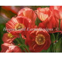 クロスステッチ図案 刺しゅう HAED 手芸 上級者 【赤いポピー】 Supersized Red Ladies Of Summer Max Colors