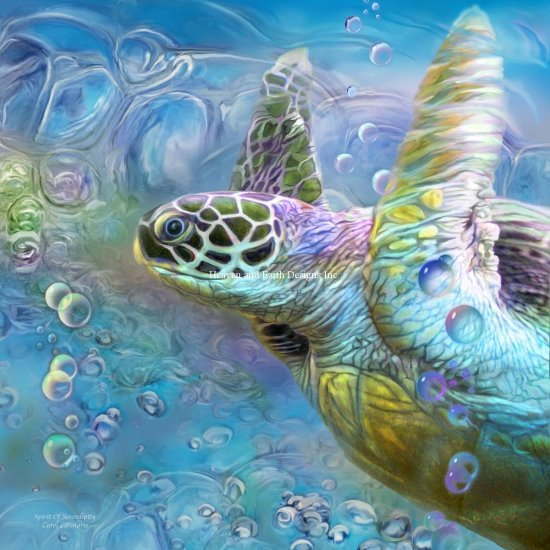 クロスステッチ刺繍図案 Heaven And Earth Designs HAED 輸入 上級者 Carol Cavalaris 素敵な偶然とウミガメ Sea Turtle Spirit Of Serendipity 全面刺し 1