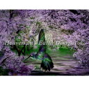 クロスステッチ刺繍図案 Heaven And Earth Designs HAED 輸入 上級者 Carol Cavalaris 春のハチドリ Spring H...