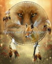 クロスステッチ刺繍図案 Heaven And Earth Designs HAED 輸入 上級者 Carol Cavalaris アカギツネ Spirit Of...
