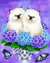 Heaven And Earth Designs クロスステッチ刺繍図案 HAED 輸入 上級者 Melissa Dawn 春の猫 Beginner The C...