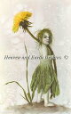 Heaven And Earth Designs クロスステッチ刺繍図案 HAED 輸入 上級者 Alexandra Dawe たんぽぽの精 Little Lion 全面刺し