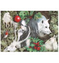 Heaven And Earth Designs クロスステッチ刺繍図案 HAED 輸入 上級者 Alexandra Dawe クリスマス Noel-Dawe ...