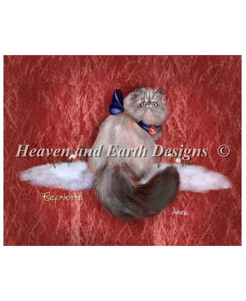 Heaven And Earth Designs クロスステッチ刺繍図案 HAED 輸入 上級者 Ash Evans 山羊座 Capricorn AE 全面刺し