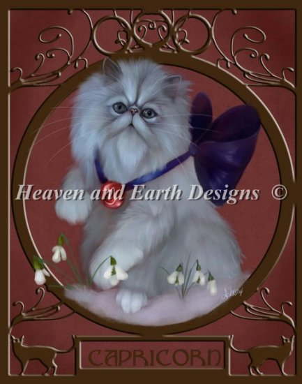 Heaven And Earth Designs クロスステッチ刺繍図案 HAED 輸入 上級者 Ash Evans 山羊座 Capricorn Nouveau 全面刺し