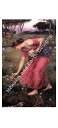 John William Waterhouse(ジョン・ウィリアム・ウォーターハウス) 名画 【 Mini Narcissus JWW 】 美術 絵画 芸術作品...
