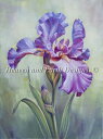HAED クロスステッチししゅう図案 アイリス Heaven And Earth Designs 輸入 Marianne Broome 上級者 Mauve Ir...