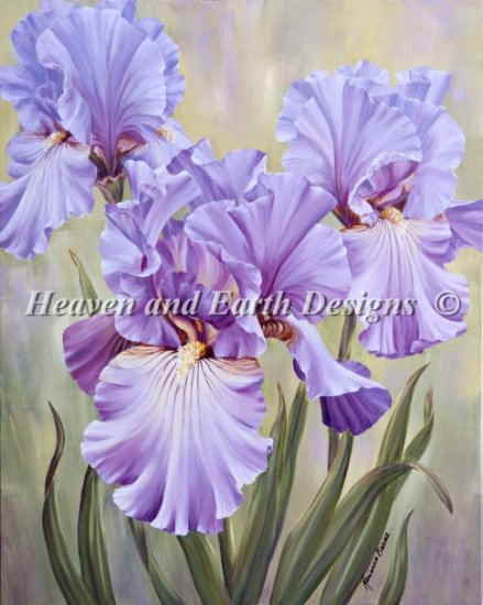 HAED クロスステッチししゅう図案 カトレア Heaven And Earth Designs 輸入 Marianne Broome 上級者 Mauve Irises 全面刺し