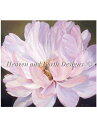 Marianne Broome クロスステッチ刺しゅうチャート HAED 図案 【Open Embrace Max Colors】 Heaven And Earth Designs