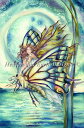 HAED クロスステッチ刺しゅうチャート バタフライ・フェアリー Heaven And Earth Designs 輸入 Jody Bergsma 上級者 Bu...