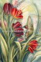 Jody Bergsma クロスステッチ刺しゅうチャート HAED 図案 【Morning Kiss Max Colors】 Heaven And Earth ...