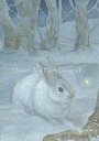 クロスステッチししゅう図案 雪の中の兎 Heaven And Earth Designs 輸入 上級者 James Browne 全面刺し Snow Hare
