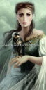 HAED クロスステッチししゅう図案 謎の魂 Heaven And Earth Designs 輸入 Melanie Delon 上級者 Enigmatic S...