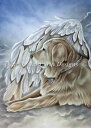 HAED クロスステッチししゅうチャート 仲間 Heaven And Earth Designs 輸入 Jesica Galbreth 上級者 The Comp...