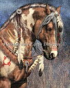ししゅうクロスステッチ図案 兵馬 Heaven And Earth Designs 輸入 Laurie Prindle 上級者 War Pony LP 全面刺し