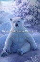 クロスステッチししゅう図案 輸入 HAED 上級者 Philip Straub 不思議の国の冬 QS Winter Wonderland 全面刺し チャート