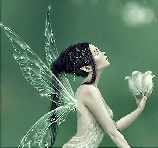 クロスステッチ刺繍図案 スズラン HAED 輸入 上級者 Rachel Anderson 全面刺し QS Lily of The Valley