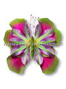 HAED 刺繍クロスステッチ図案 Heaven And Earth Designs 花と昆虫の融合 輸入 Michel Tcherevkoff 上級者 QS V...