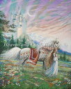 ししゅうクロスステッチ図案 空飛ぶ風 Heaven And Earth Designs 輸入 Richard Jesse Watson 上級者 Flying W...