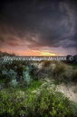ししゅうクロスステッチチャート ダリエラップ・ビーチの海岸の夕焼け Heaven And Earth Designs 輸入 Geoff Pritchard 上級...