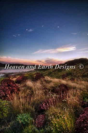 ししゅうクロスステッチチャート 砂漠の崖の花 Heaven And Earth Designs 輸入 Geoff Pritchard 上級者 Desert Cliff Flowers