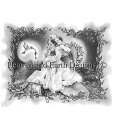 クロスステッチししゅうチャート ザ・シークレット・ガーデン Heaven And Earth Designs 輸入 Katerina Koukiotis 上級者...