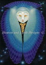 HAED 手芸 クロスステッチ刺しゅう図案 【オウル・マジック】 Owl Magic