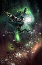 Melanie Delon クロスステッチ 図案 刺しゅう チャート 【Aurora light】 Heaven And Earth Designs 輸入 上級...