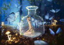 Jessica Allain クロスステッチ 図案 刺しゅう チャート 【Captured Wings】 Heaven And Earth Designs 輸入...