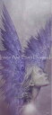 John Enright クロスステッチ 図案 刺しゅう チャート 【The Angel Purple】 Heaven And Earth Designs 輸入 上級者 天使 エンジェル