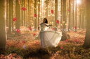Milos Karanovic クロスステッチ 図案 刺しゅう チャート 【 Forest Girl 】 Heaven And Earth Designs 輸入...