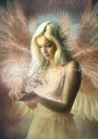 HAED クロスステッチ刺しゅうチャート Heaven And Earth Designs 図案 難しい 【Mini Angel Jehoël】 Ba...