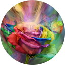 HAED クロスステッチししゅう手芸チャート Heaven And Earth Designs 図案 【Ornament Healing Rose Color ...